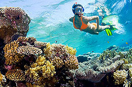 Tours de snorkel en Bahías de Huatulco