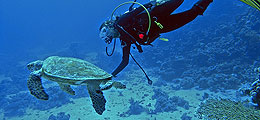 Diving Holidays Mexico