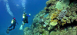 scuba diving trips Huatulco